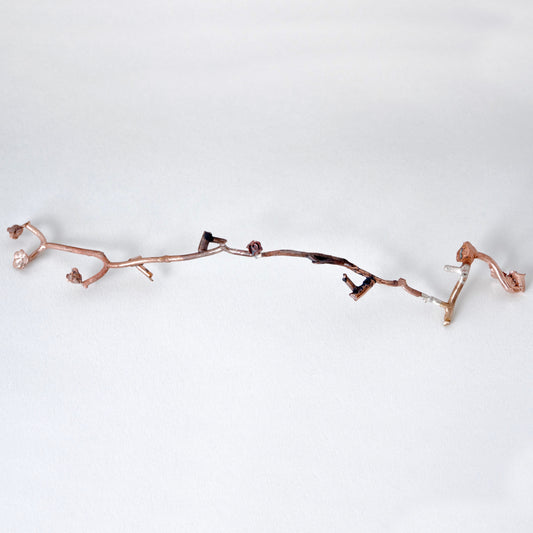 Flower Arc - Andrea Corson
