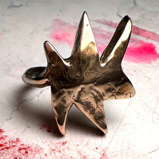 Star! Ring