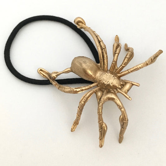 Spider - Andrea Corson