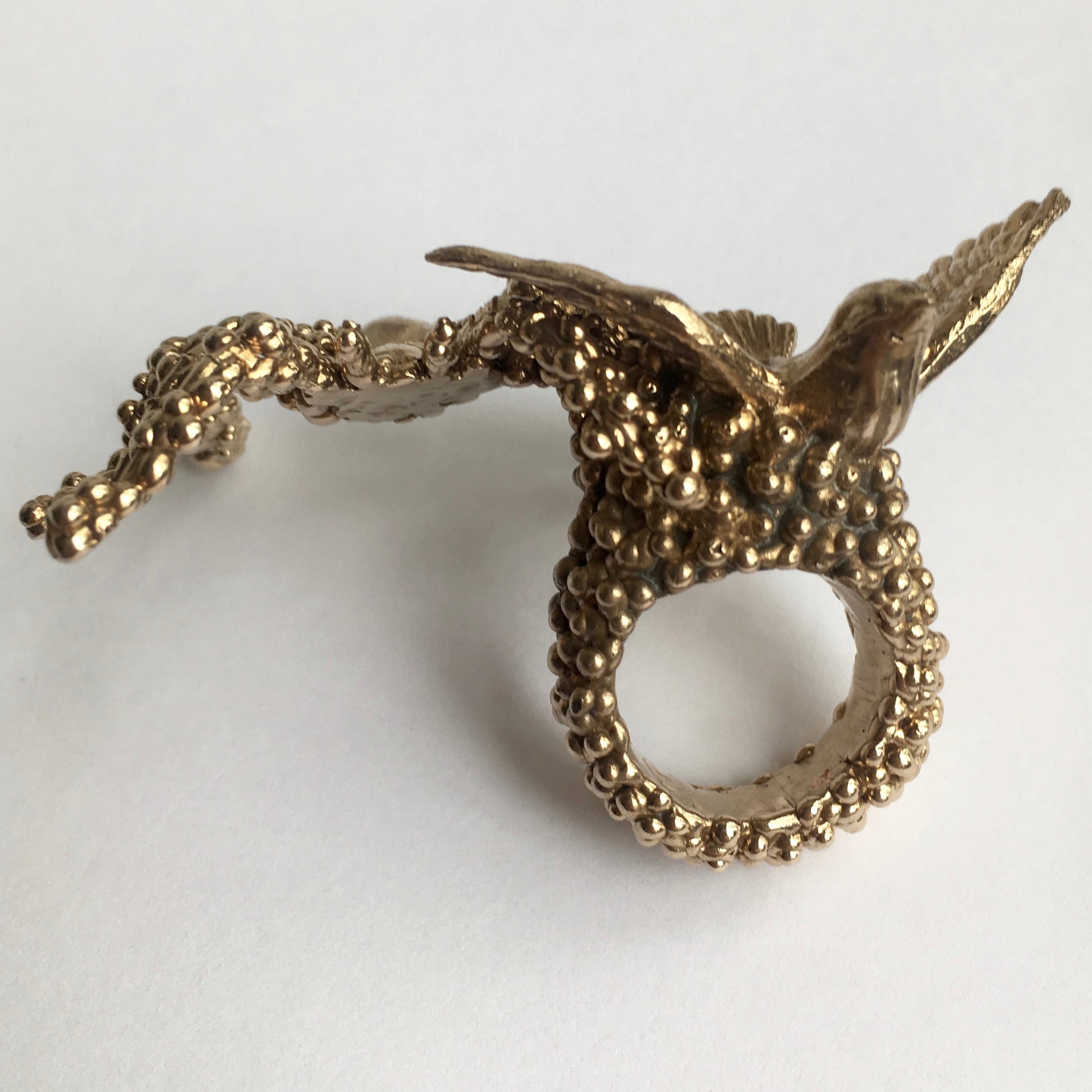 Dove and Spider Caviars - Andrea Corson