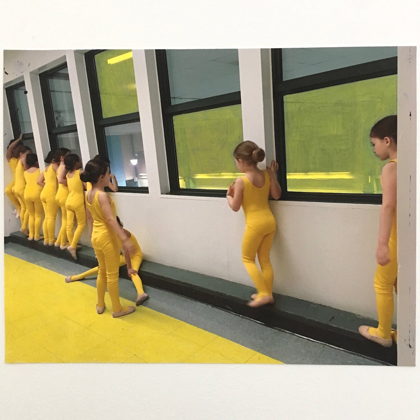 Ducklings, In Waiting - Andrea Corson