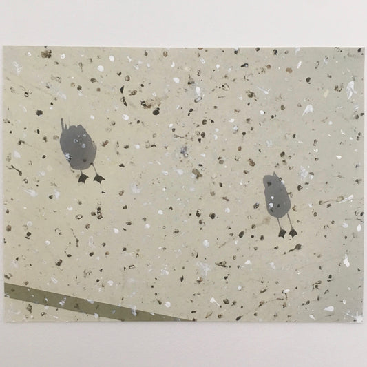 Seagulls - Andrea Corson