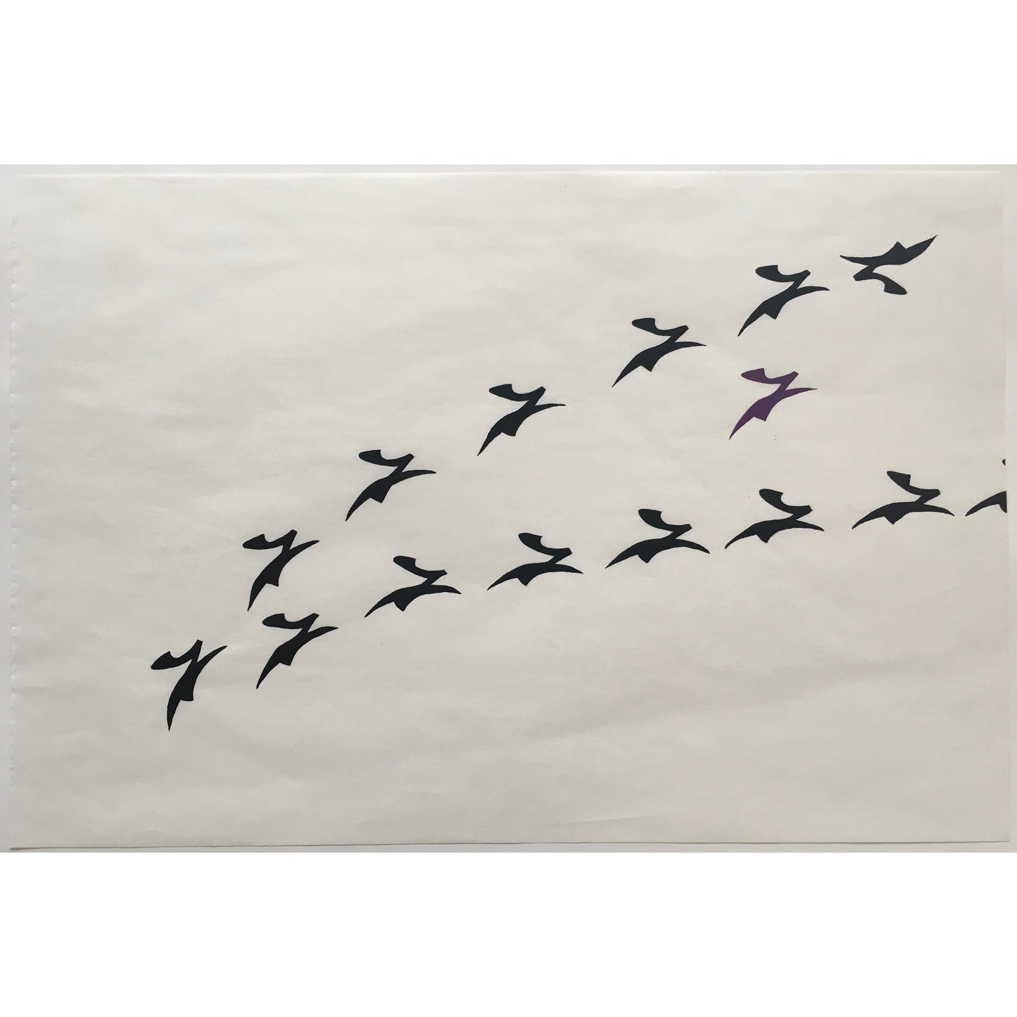 Birds - Andrea Corson