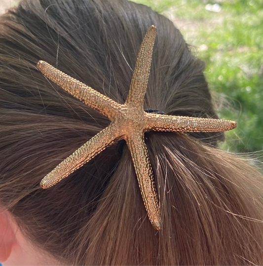 XL Starfish