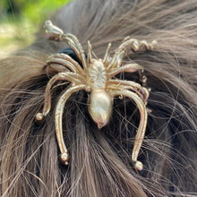 Spider