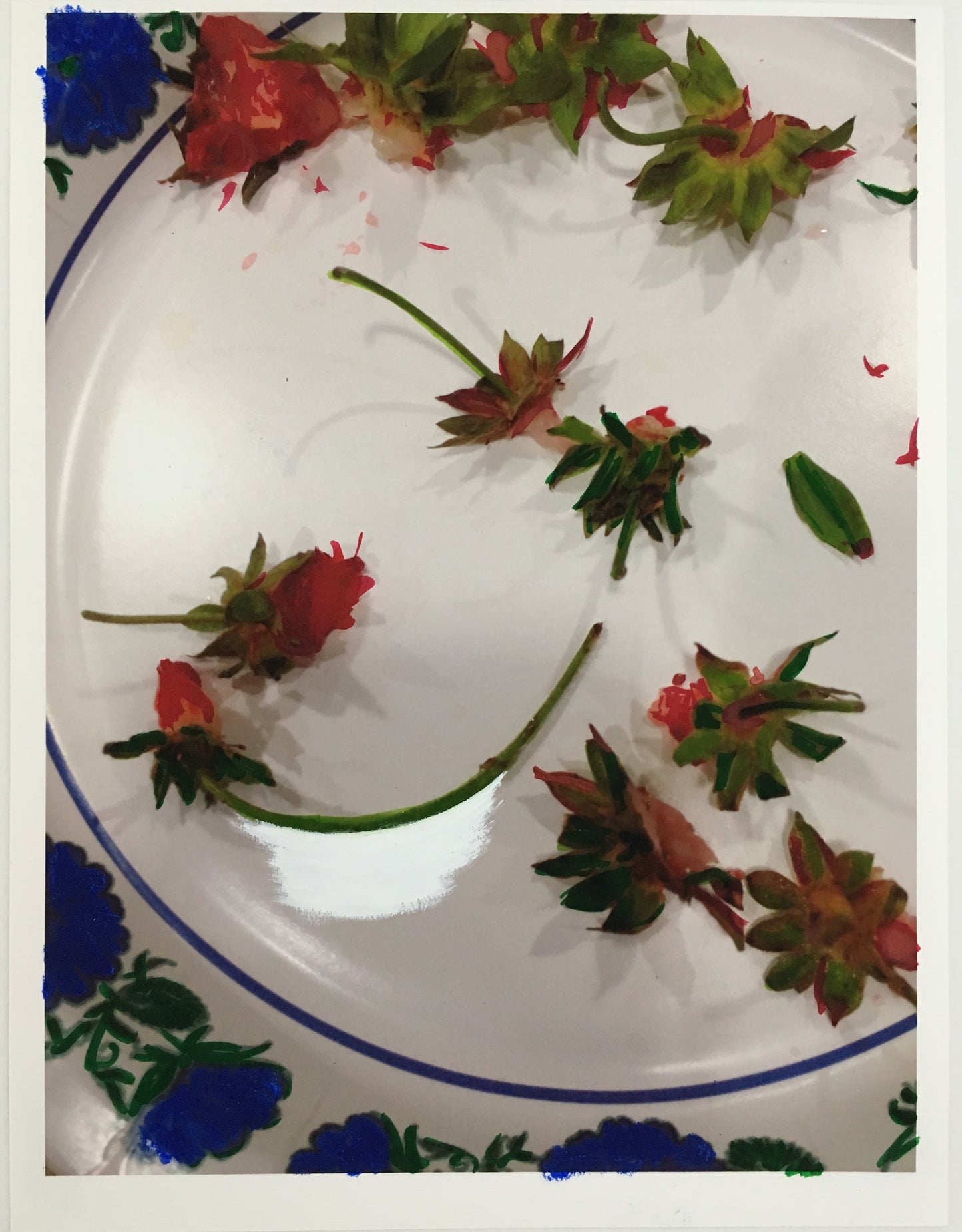 Summer Strawberries, New Hampshire - Andrea Corson