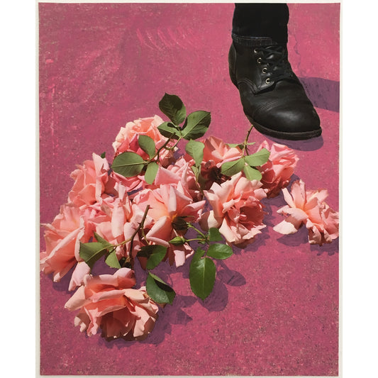 James’s Roses - Andrea Corson