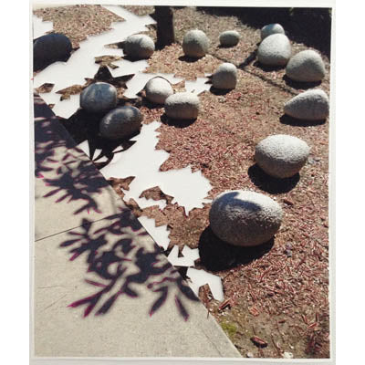 Noguchi Garden Rocks - Andrea Corson