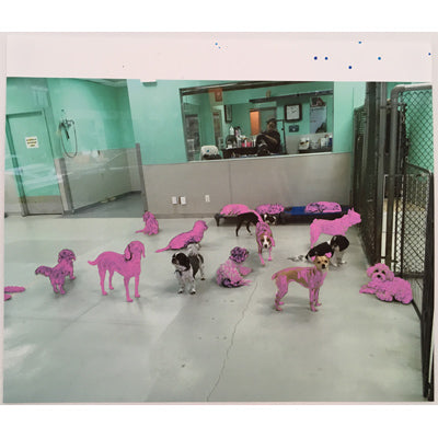 Pink Dogs - Andrea Corson