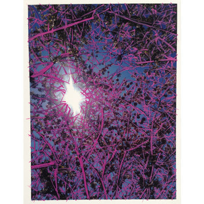Pink in The Trees - Andrea Corson