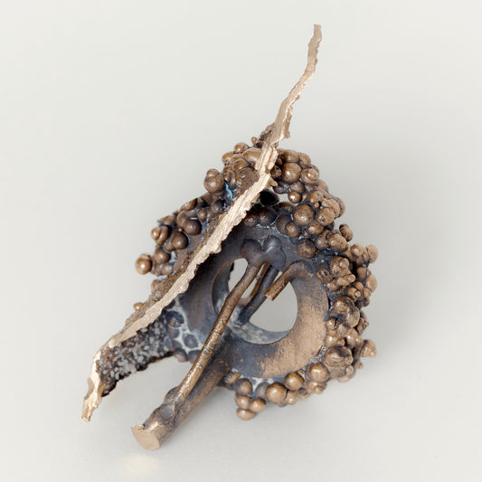 Shipwreck - Andrea Corson