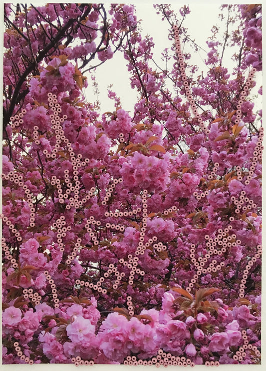 Remembering Spring - Andrea Corson