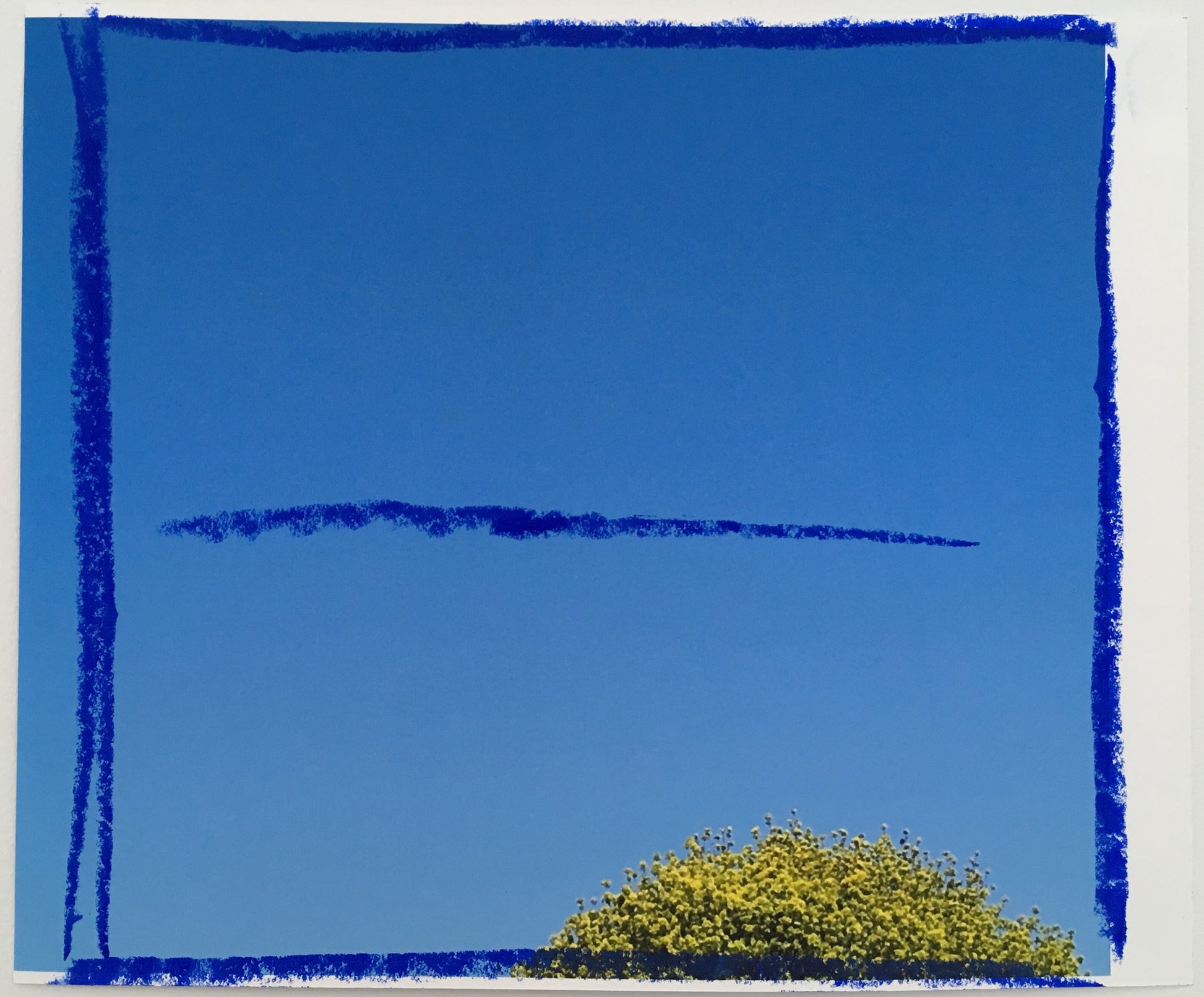 Blue Lines - Andrea Corson