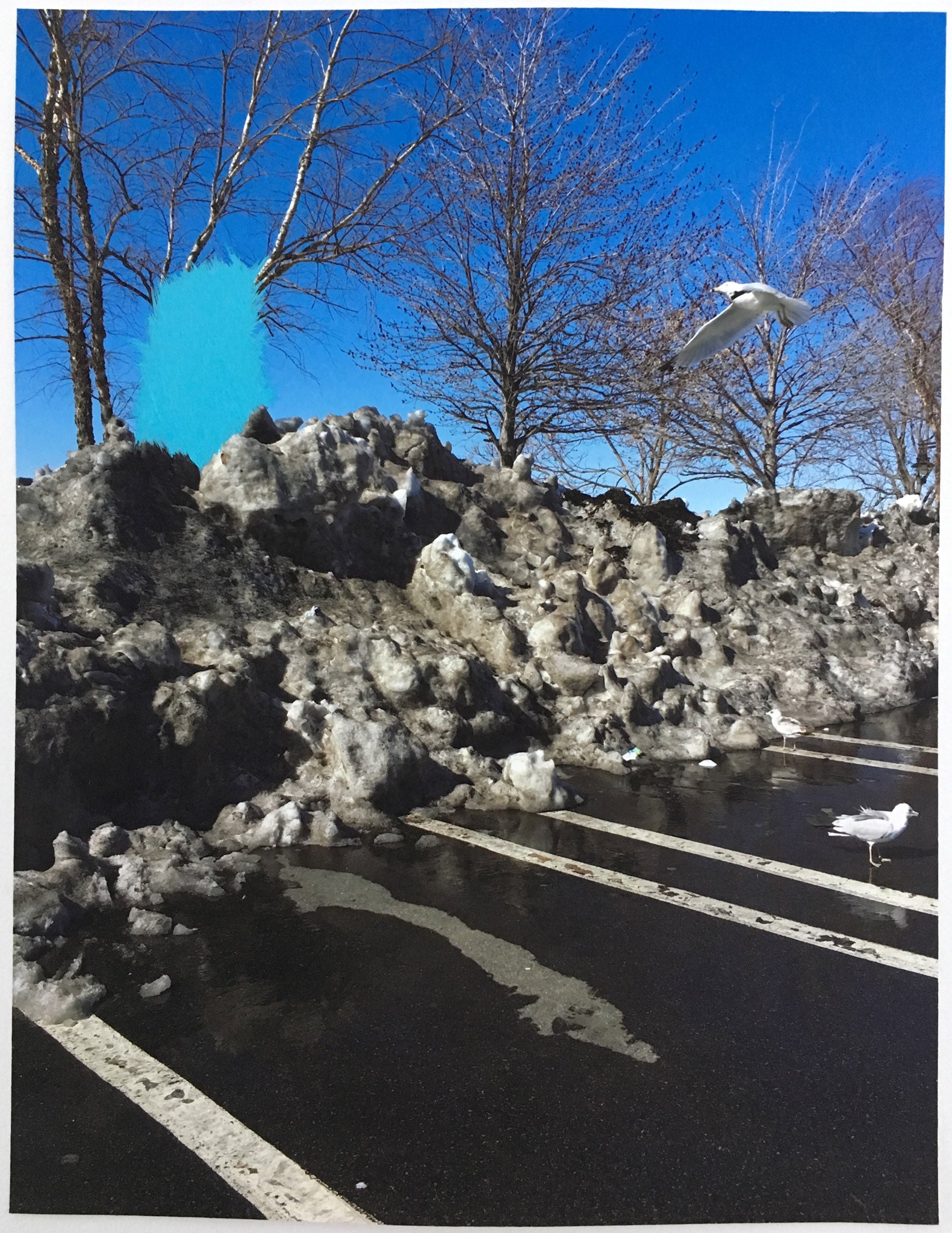Costco Parking Lot - Andrea Corson