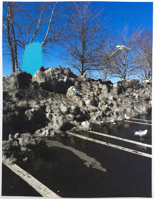 Costco Parking Lot - Andrea Corson