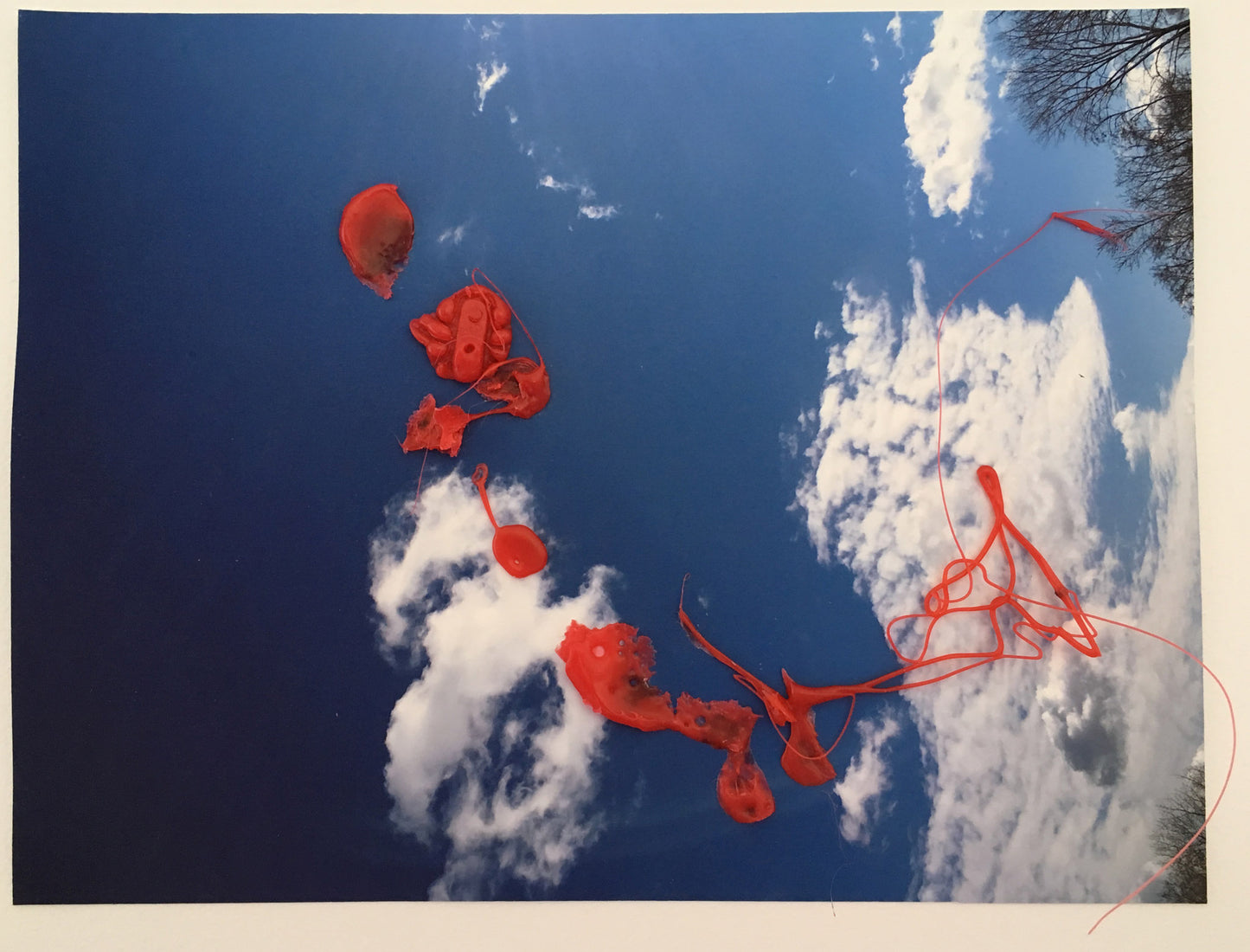 Blue Sky and Clouds with Wax - Andrea Corson